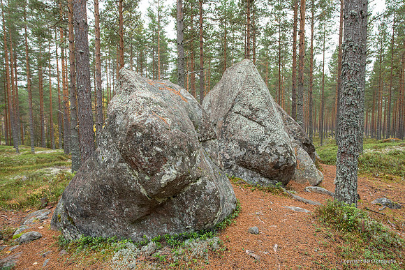 Zweden, herfst 2026-069