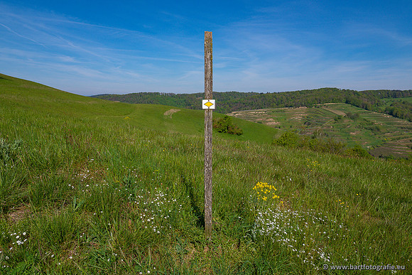 Kaiserstuhl, Duitsland, mei 2023, Bart Fotografie-007