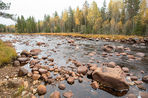 Zweden, herfst 2026-046