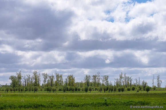 Akker en Weide Bart Fotografie-145