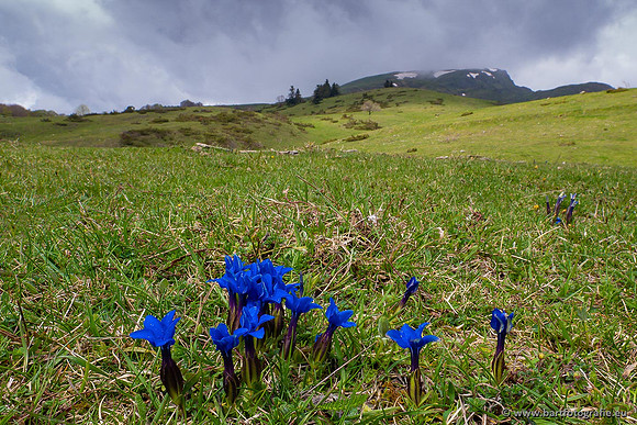 Ariège, Frankrijk, mei 2022, Bart Fotografie-133