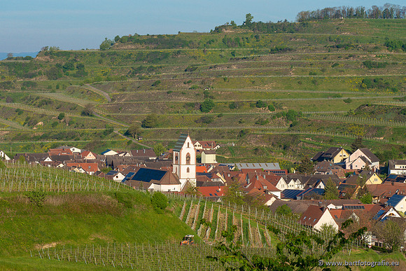 Kaiserstuhl, Duitsland, mei 2023, Bart Fotografie-023