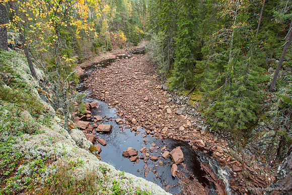 Zweden, herfst 2026-013