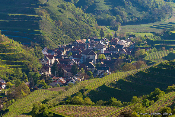 Kaiserstuhl, Duitsland, mei 2023, Bart Fotografie-022