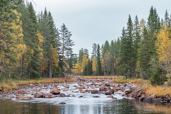 Zweden, herfst 2026-047