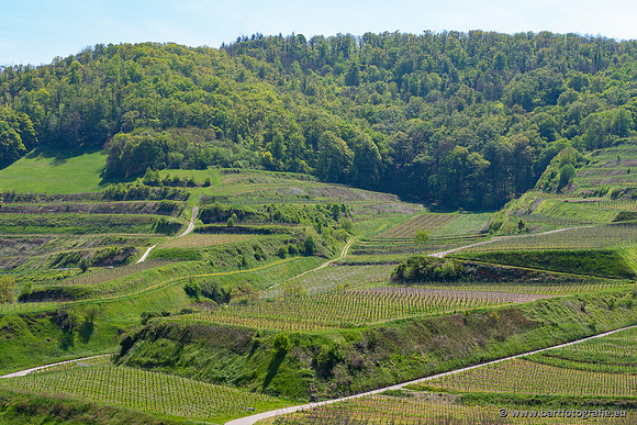Kaiserstuhl, Duitsland, mei 2023, Bart Fotografie-040