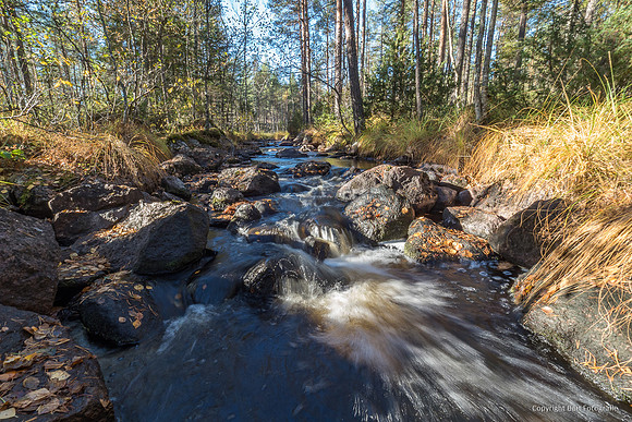 Zweden, herfst 2026-054