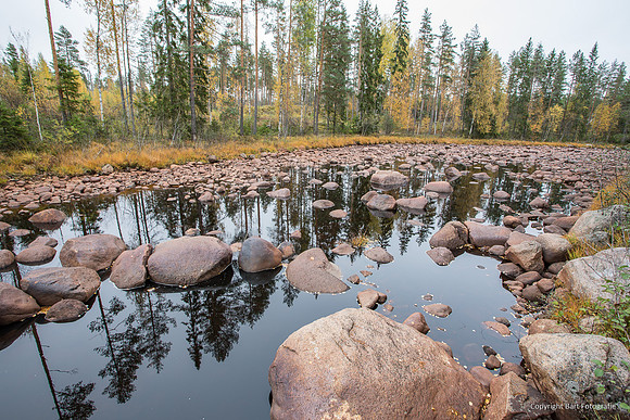 Zweden, herfst 2026-041