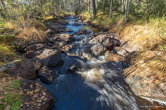 Zweden, herfst 2026-055