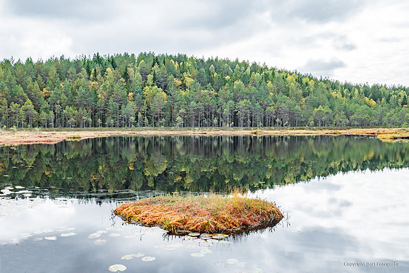 Zweden, herfst 2026-009