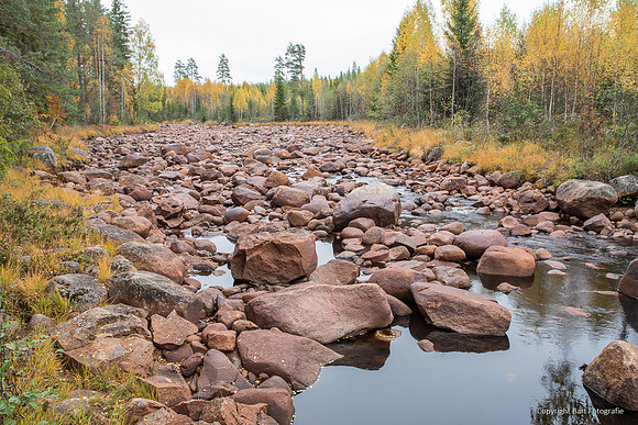 Zweden, herfst 2026-042