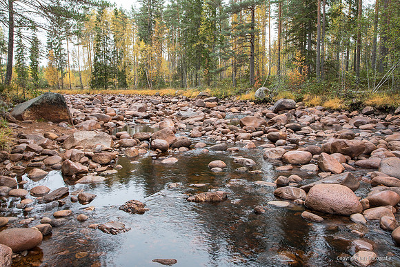 Zweden, herfst 2026-029