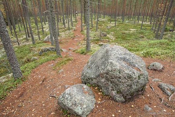 Zweden, herfst 2026-066