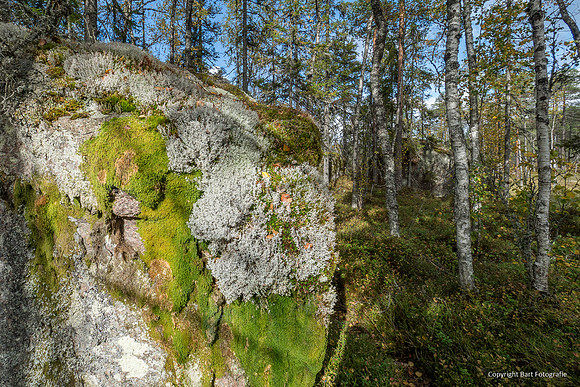 Zweden, herfst 2026-075