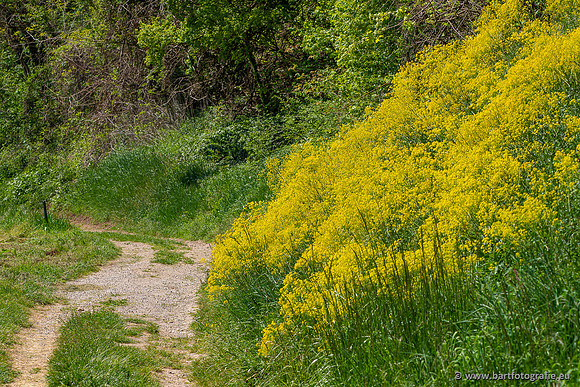 Kaiserstuhl, Duitsland, mei 2023, Bart Fotografie-038