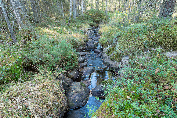 Zweden, herfst 2026-050