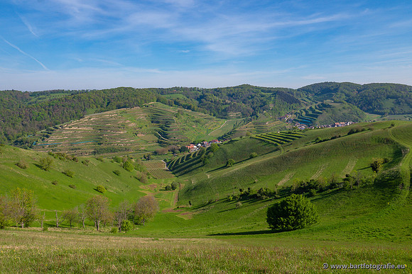Kaiserstuhl, Duitsland, mei 2023, Bart Fotografie-049