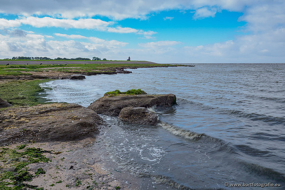 Friesland september 2020 Bart Fotografie-019