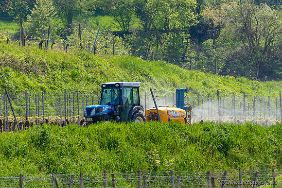 Kaiserstuhl, Duitsland, mei 2023, Bart Fotografie-033