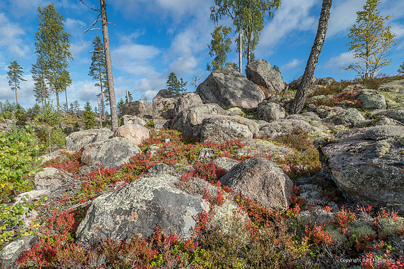 Zweden, herfst 2026-003
