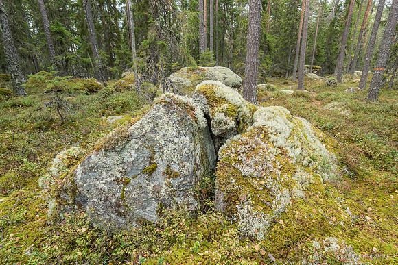 Zweden, herfst 2026-072