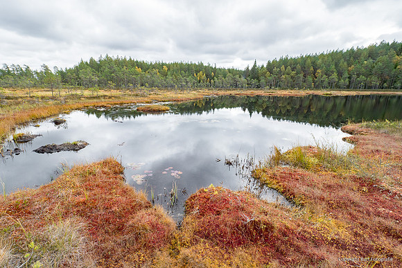 Zweden, herfst 2026-010