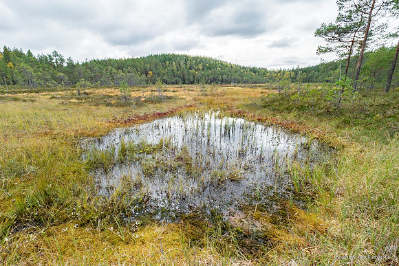 Zweden, herfst 2026-006