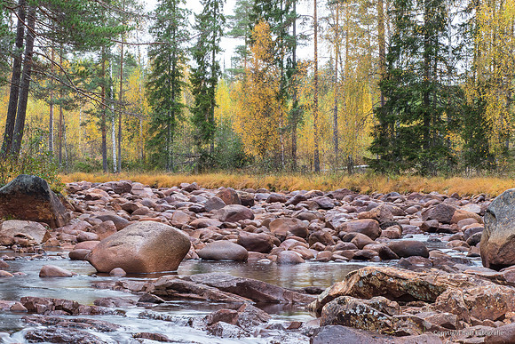 Zweden, herfst 2026-030