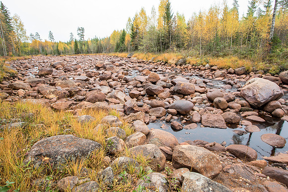 Zweden, herfst 2026-043