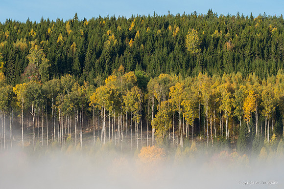 Zweden, herfst 2026-057