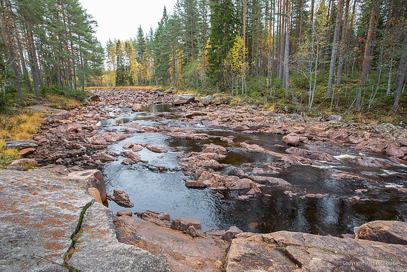 Zweden, herfst 2026-025