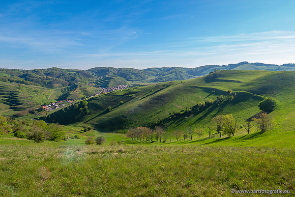 Kaiserstuhl, Duitsland, mei 2023, Bart Fotografie-043