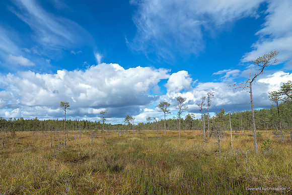 Zweden, herfst 2026-059
