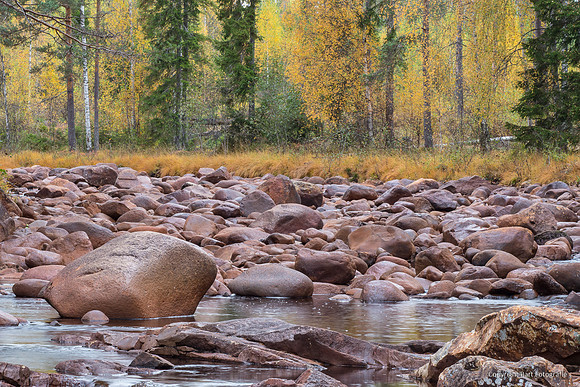 Zweden, herfst 2026-031