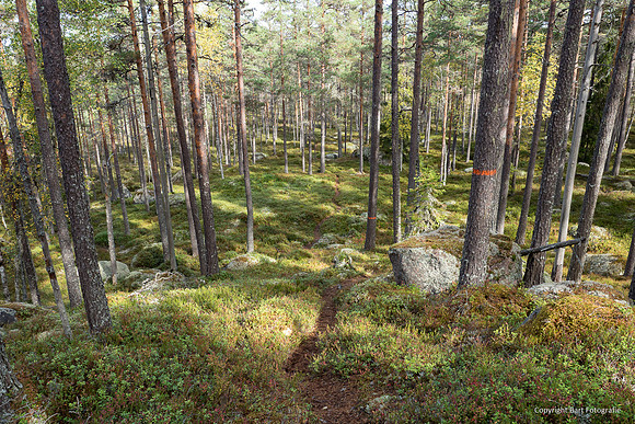 Zweden, herfst 2026-065