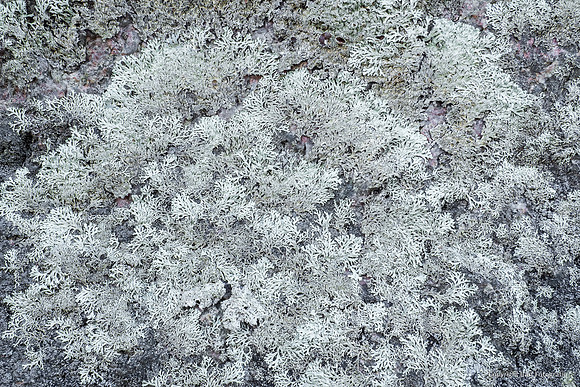 Zweden, herfst 2026-080