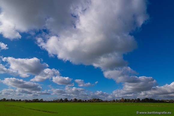 Akker en Weide Bart Fotografie-155