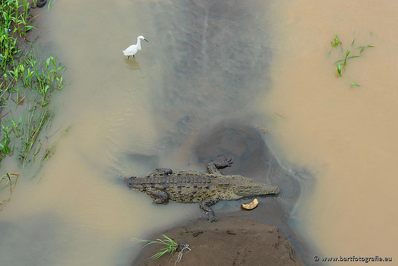 Costa Rica 2018, Bart Fotografie-081