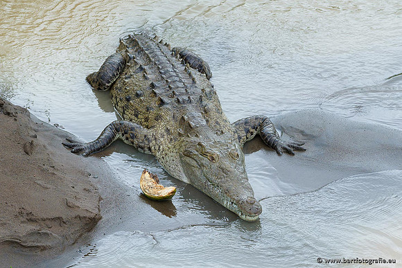 Costa Rica 2018, Bart Fotografie-084