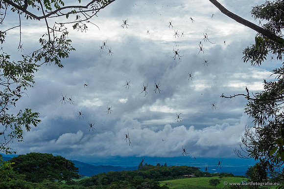 Costa Rica 2018, Bart Fotografie-159