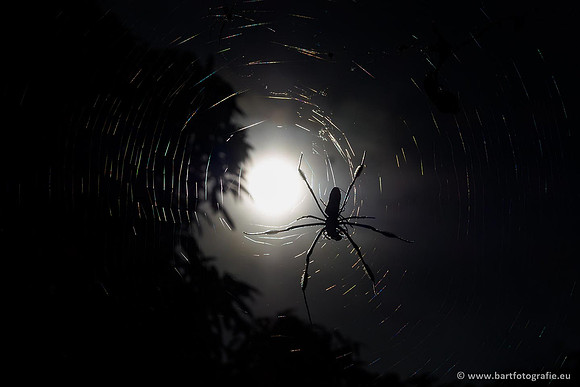 Costa Rica 2018, Bart Fotografie-161