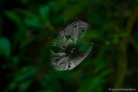Costa Rica 2018, Bart Fotografie-162