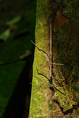 Costa Rica 2018, Bart Fotografie-223