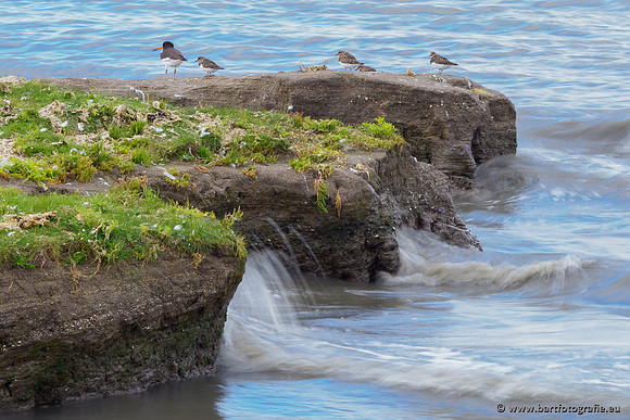 Friesland september 2020 Bart Fotografie-031