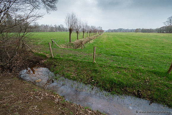 De Hegge bovenloop, 230321-003