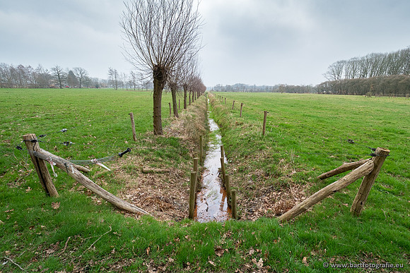 De Hegge bovenloop, 230321-005