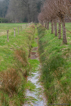 De Hegge bovenloop, 230321-006