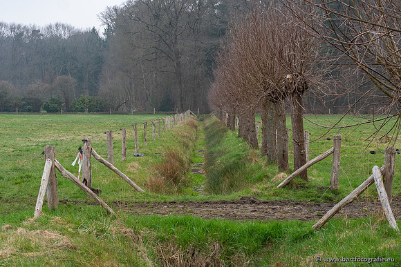 De Hegge bovenloop, 230321-007