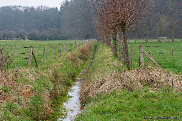De Hegge bovenloop, 230321-009