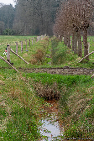 De Hegge bovenloop, 230321-008